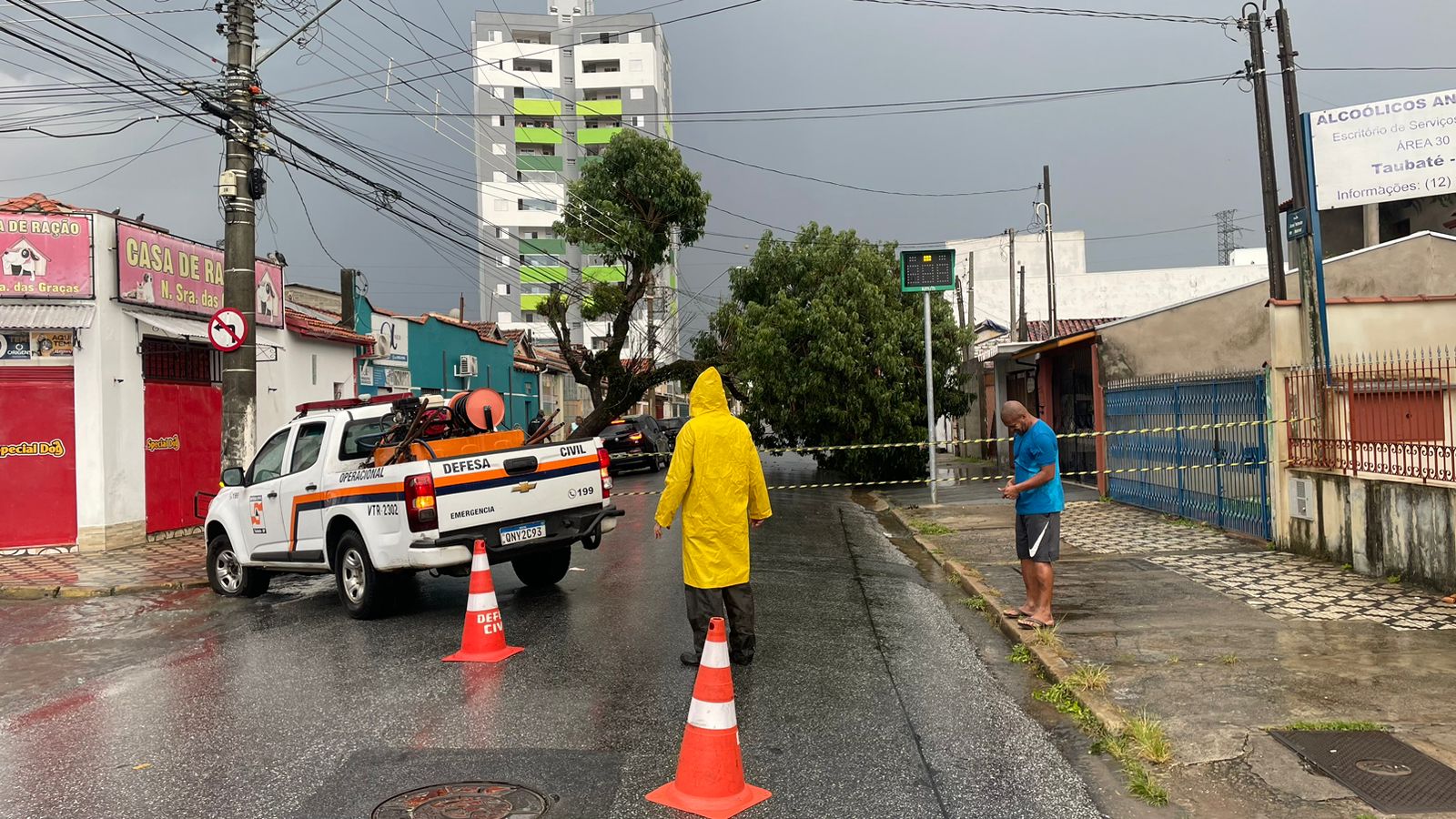 Temporal em Taubaté derruba árvores e alaga casas Ventos chegaram a 60