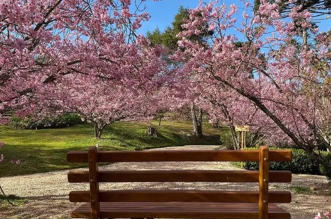 Parque das Cerejeiras em Campos do Jordão