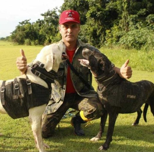 Caçador De Javali é Morto Por Amigo Enquanto Caçava Em área De Mata Em